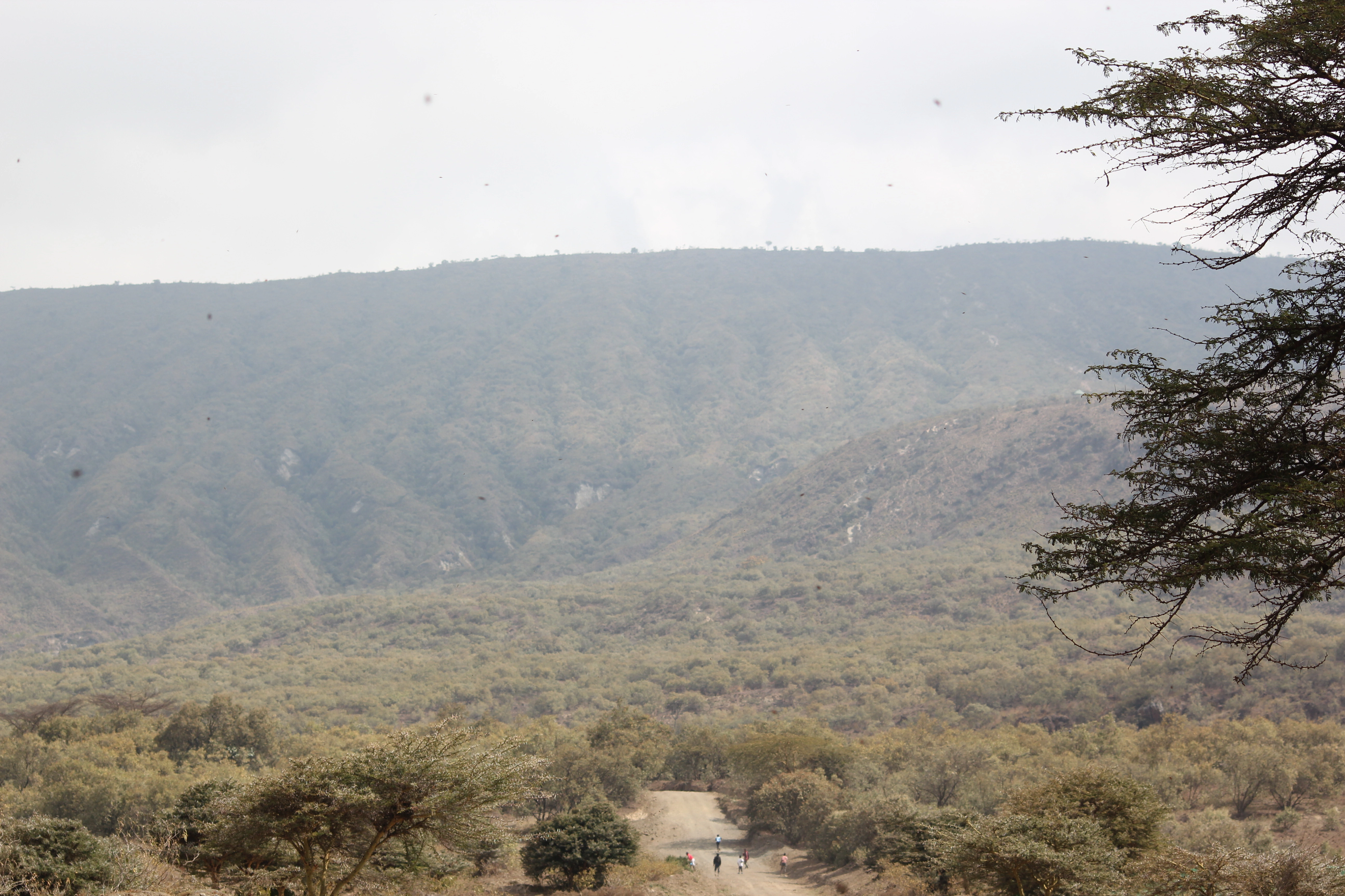 Diwaka Safaris-African Safari Tours | Kenya Safaris & East African Safari Tour Packages