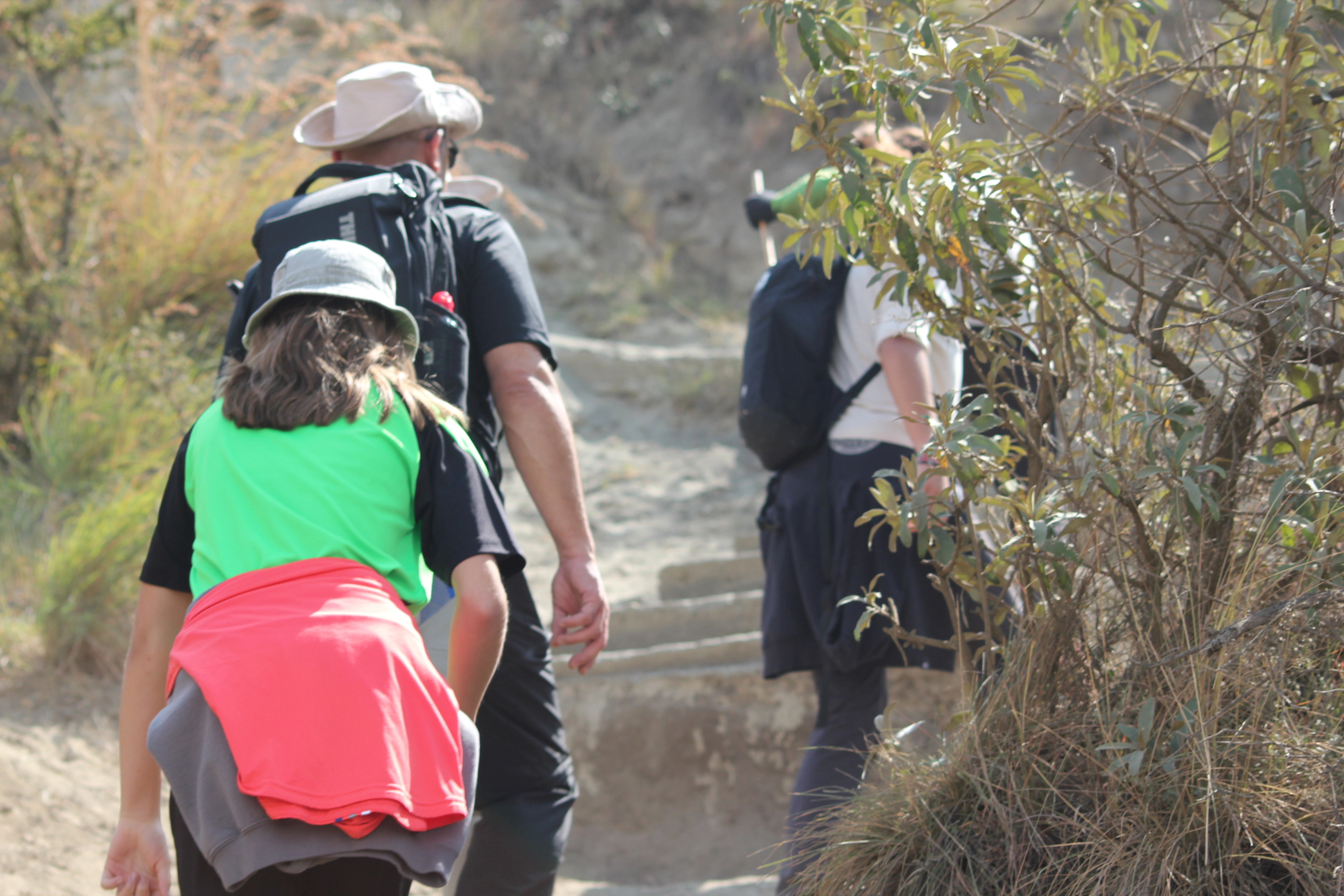 Diwaka Safaris-African Safari Tours | Kenya Safaris & East African Safari Tour Packages