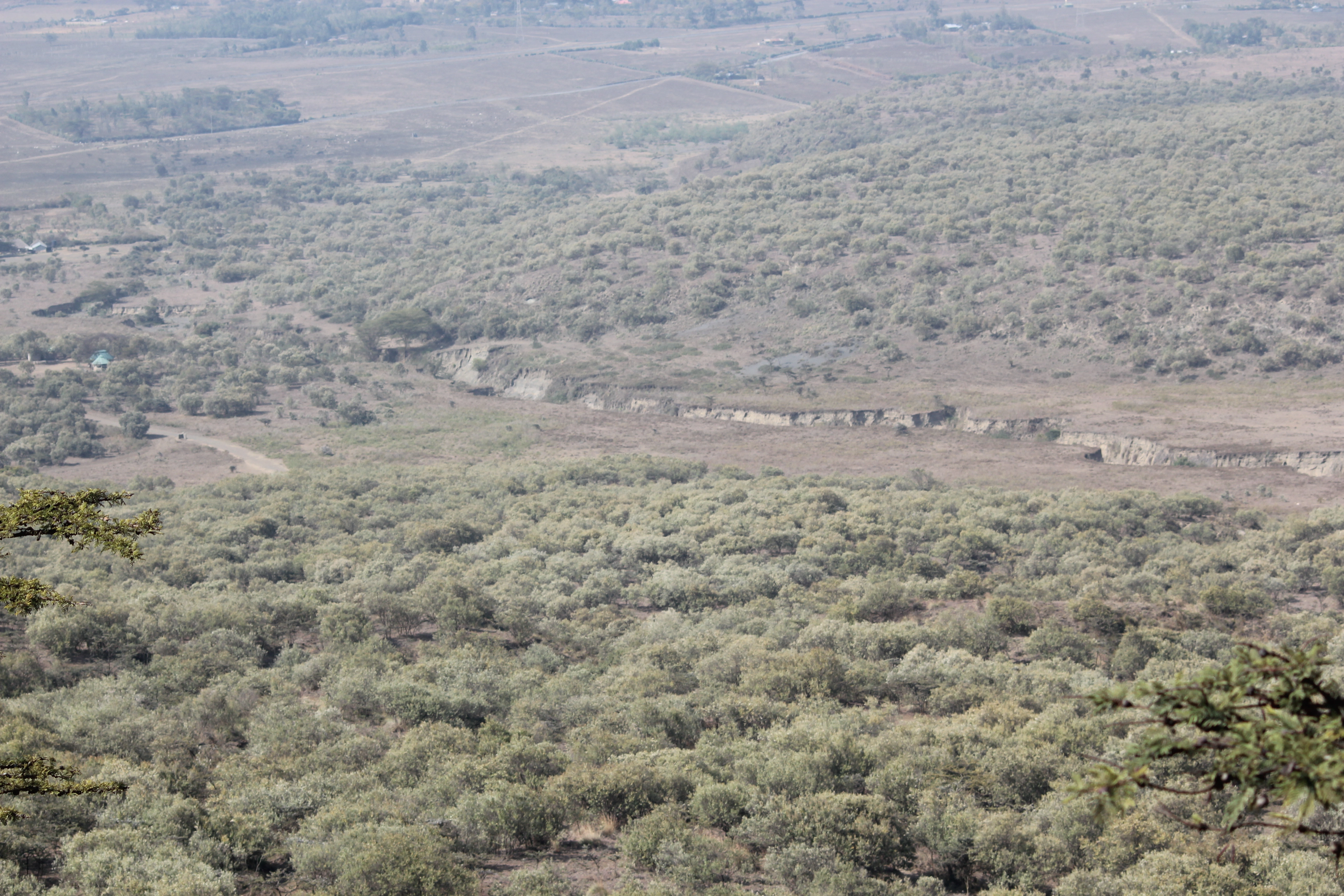 Diwaka Safaris-African Safari Tours | Kenya Safaris & East African Safari Tour Packages