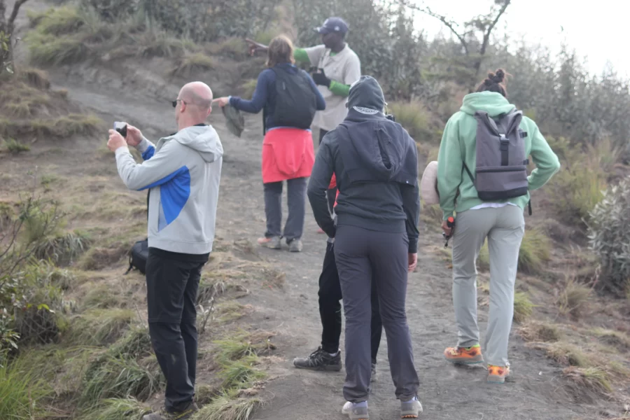 climbing Tanzania