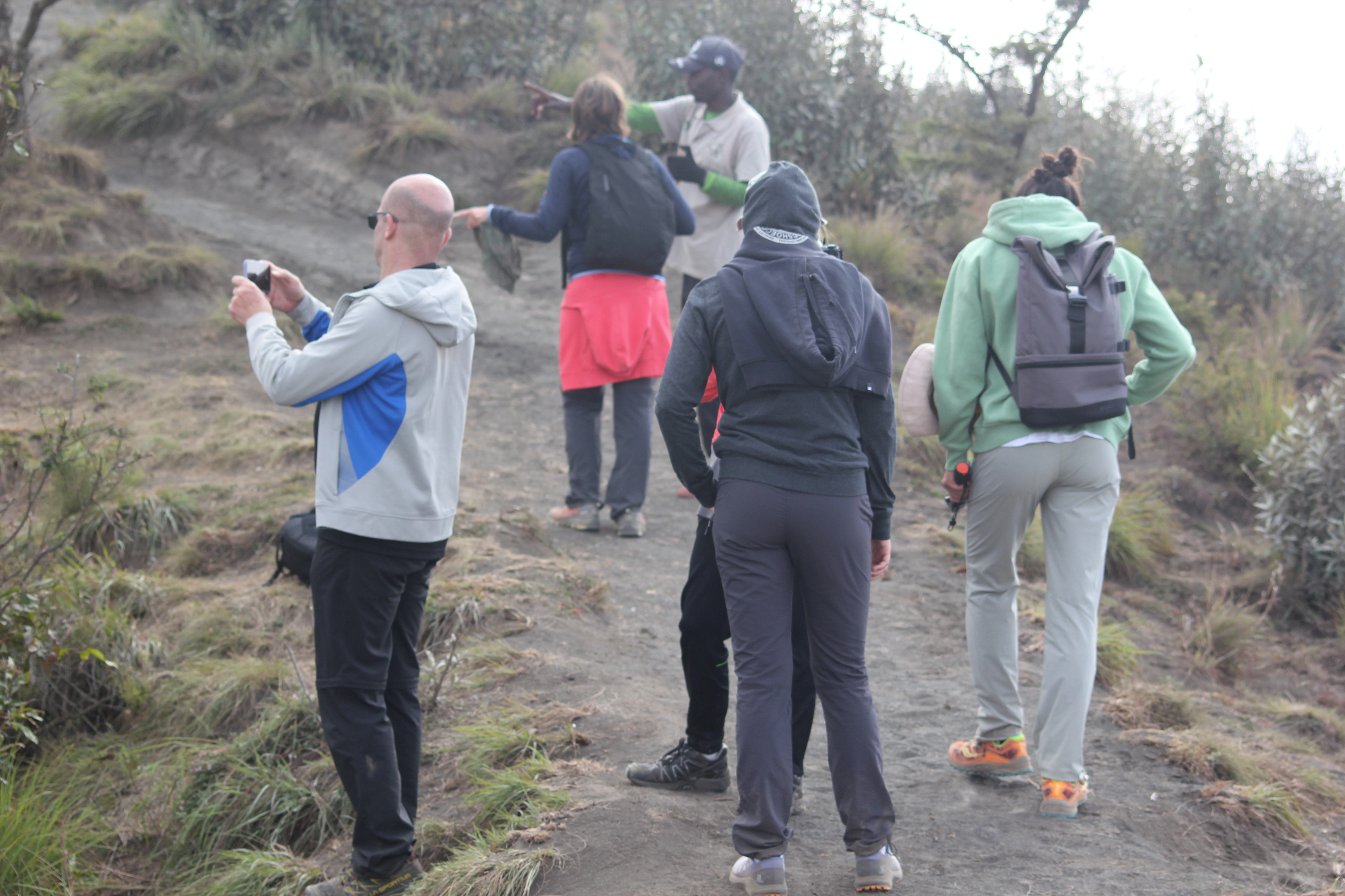 Diwaka Safaris-African Safari Tours | Kenya Safaris & East African Safari Tour Packages