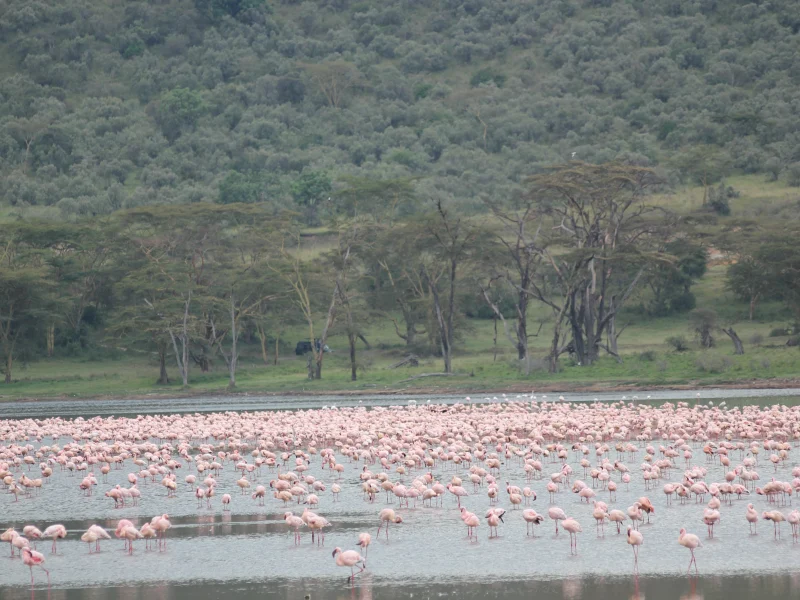 Safari Mpaka (6 Days)