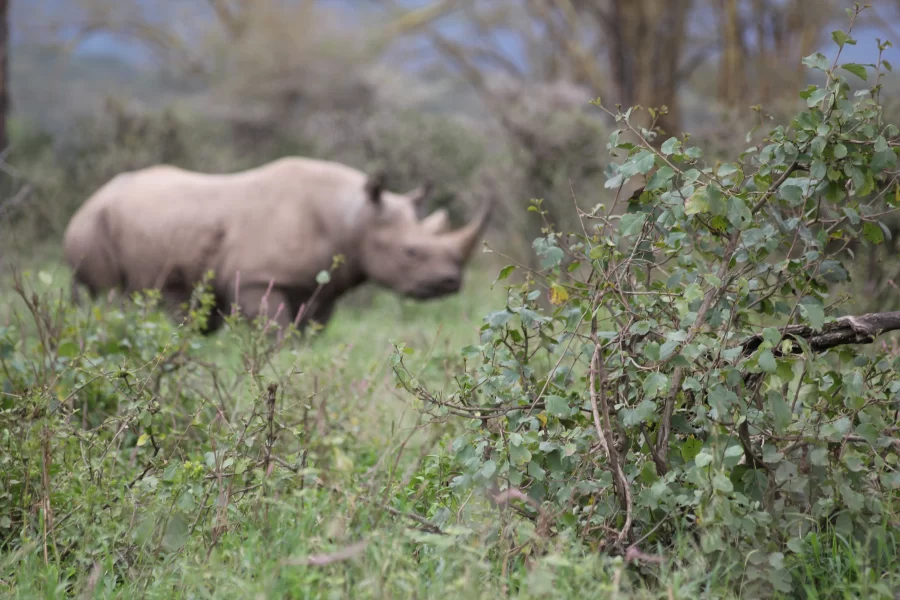 Semuliki National Park