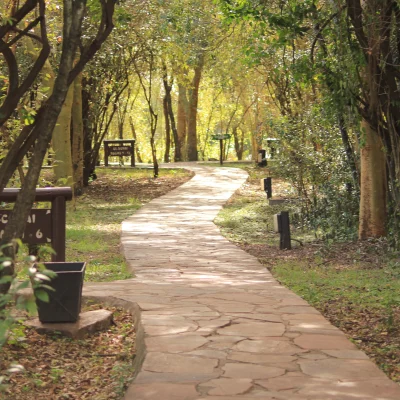 Nairobi excursions