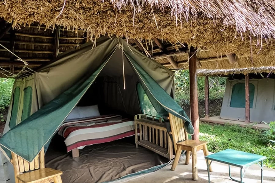 Bakinga Camp