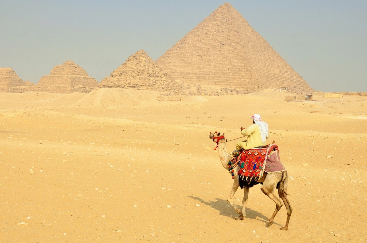 Diwaka Safaris-African Safari Tours | Kenya Safaris & East African Safari Tour Packages