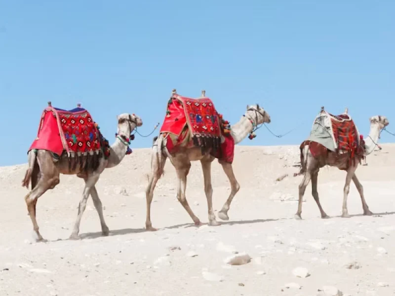 14 Tage Kairo, Alexandria & Nilkreuzfahrt mit Flug