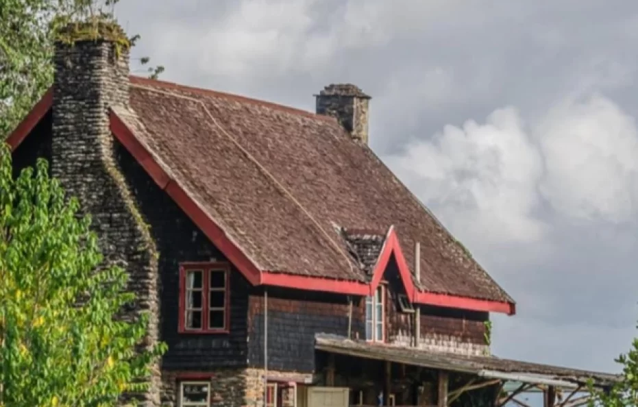Castle Forest Lodge