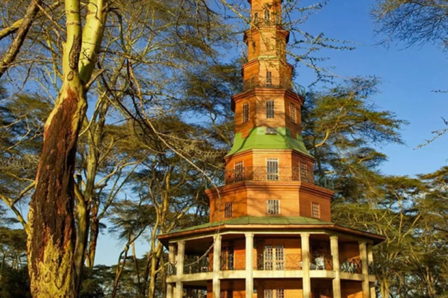 Dodo’s Tower