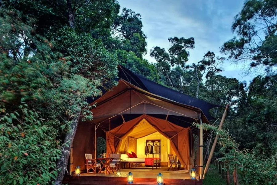 Elephant Pepper Camp