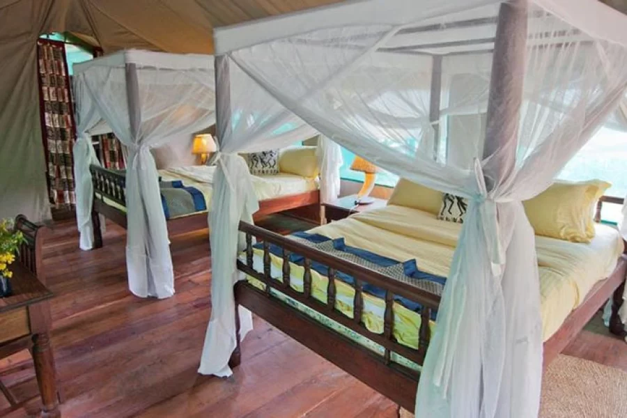 Gombe Forest Lodge