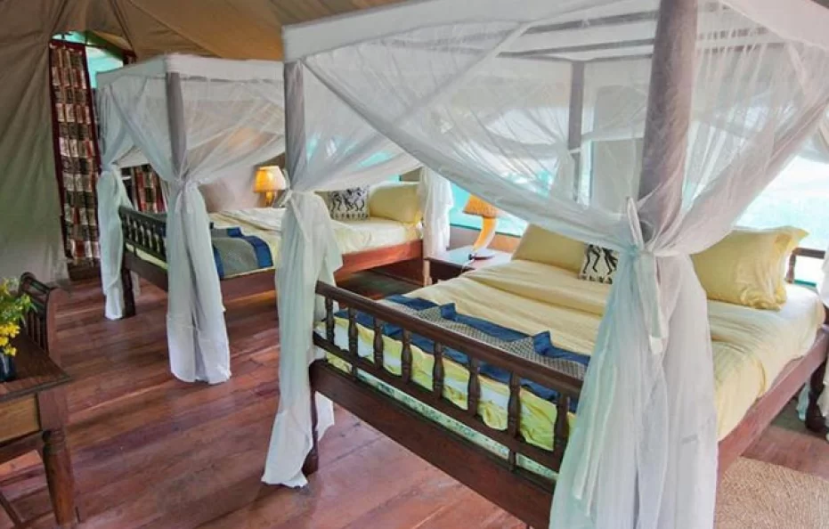 Gombe Forest Lodge