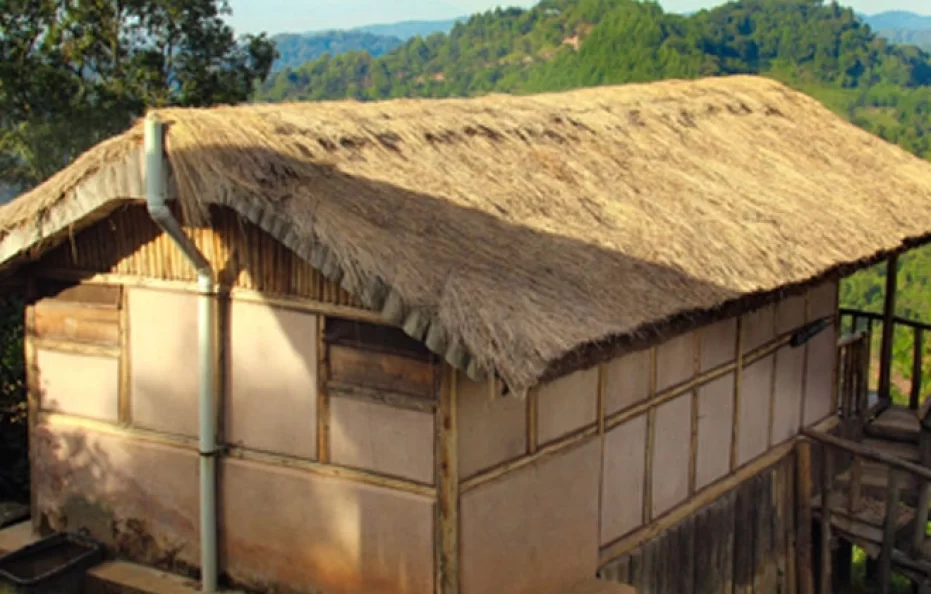 Gorilla Mist Camp