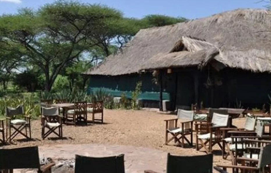 Ikoma Bush Camp