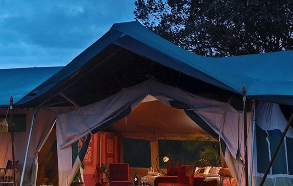 Kicheche Laikipia