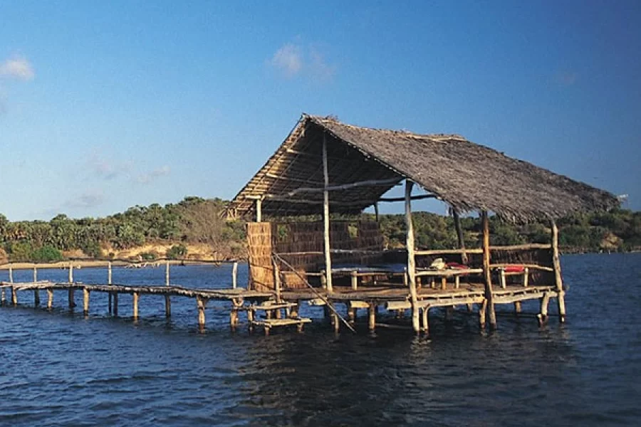 Kipungani Explorer