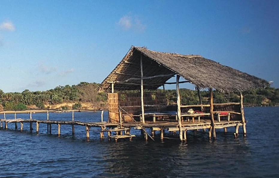 Kipungani Explorer