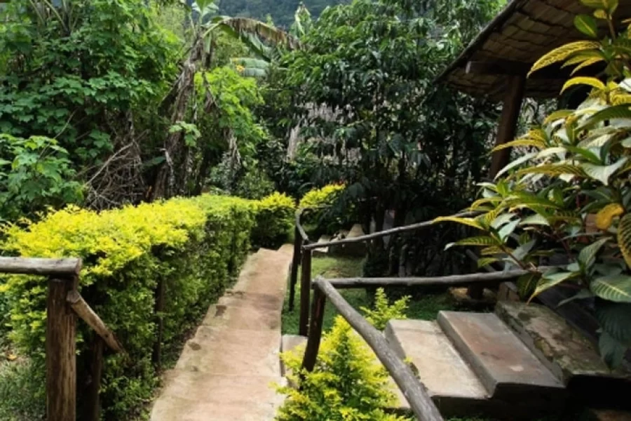 Lake Kitandara Bwindi Camp