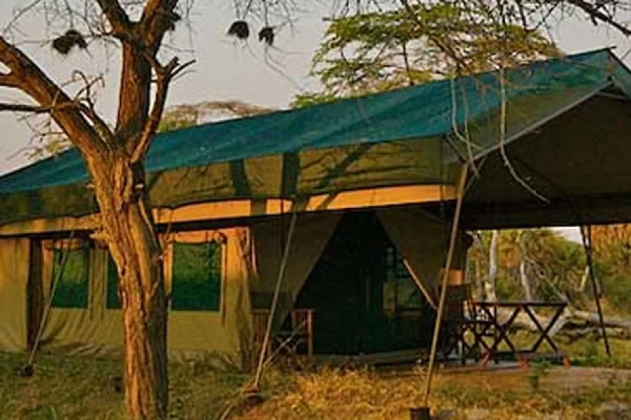 Lake Manze Camp