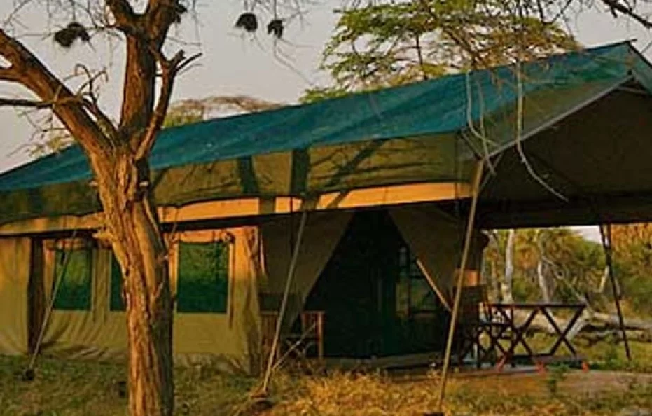Lake Manze Camp