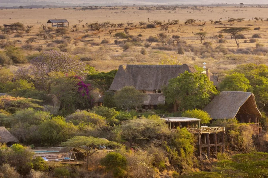 Lewa House
