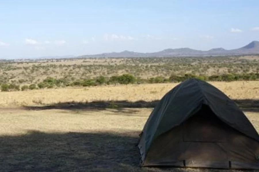 Lobo Camp
