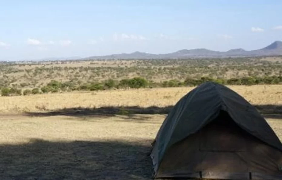 Lobo Camp