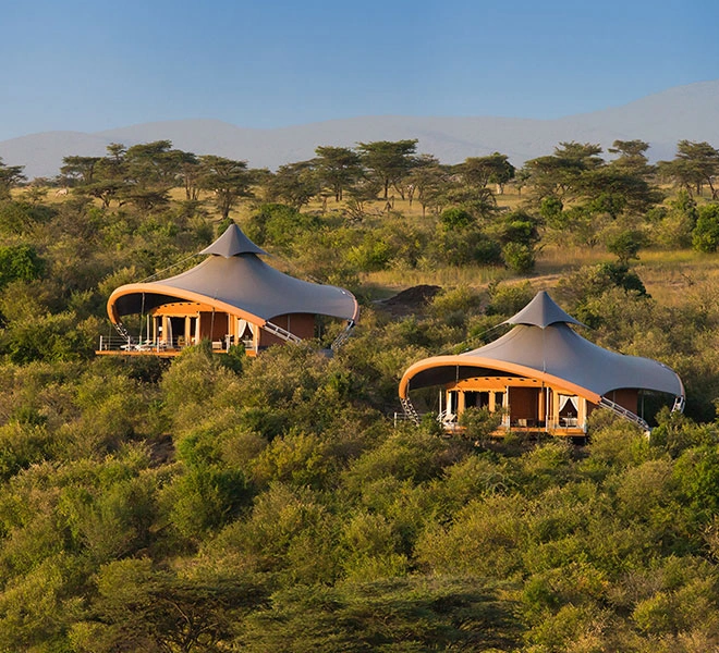 Diwaka Safaris-African Safari Tours | Kenya Safaris & East African Safari Tour Packages