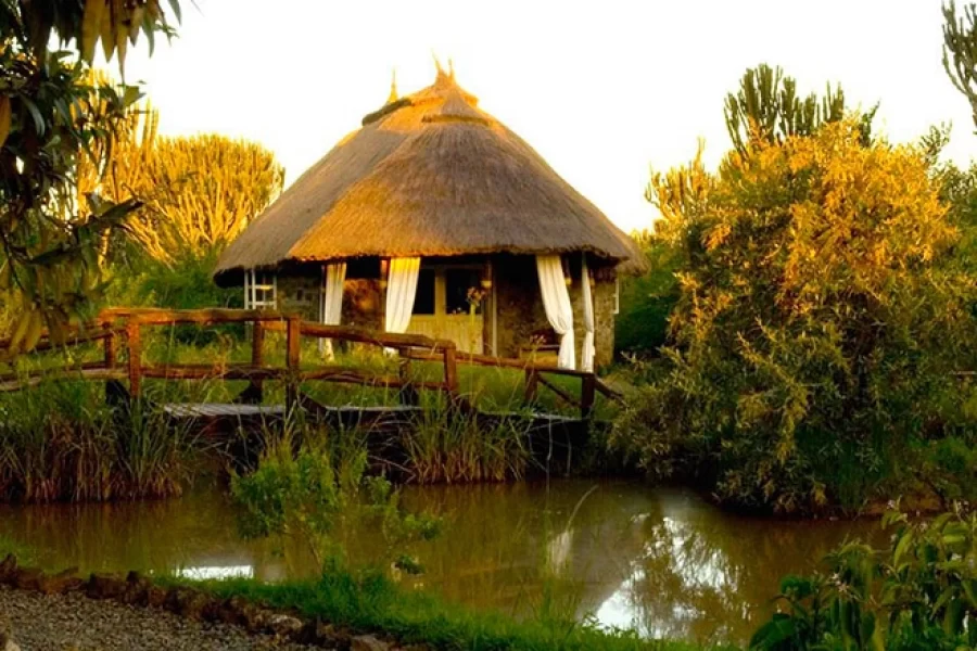 Mbweha Camp