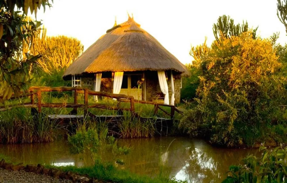 Mbweha Camp