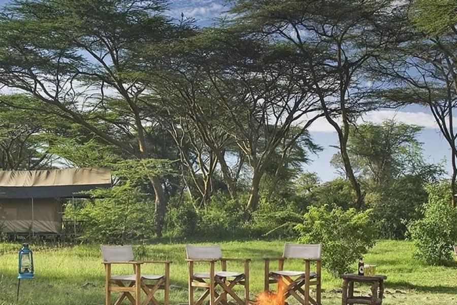 Ol Keri Mara Camp