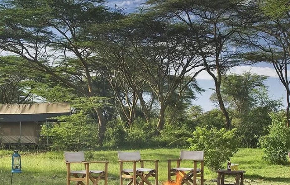 Ol Keri Mara Camp
