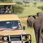 family safari holidays kenya