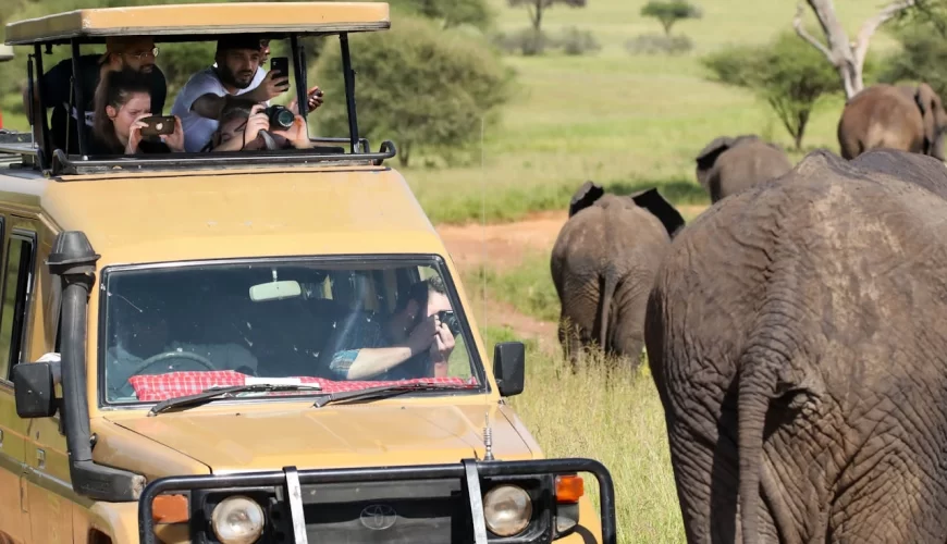 family safari holidays kenya