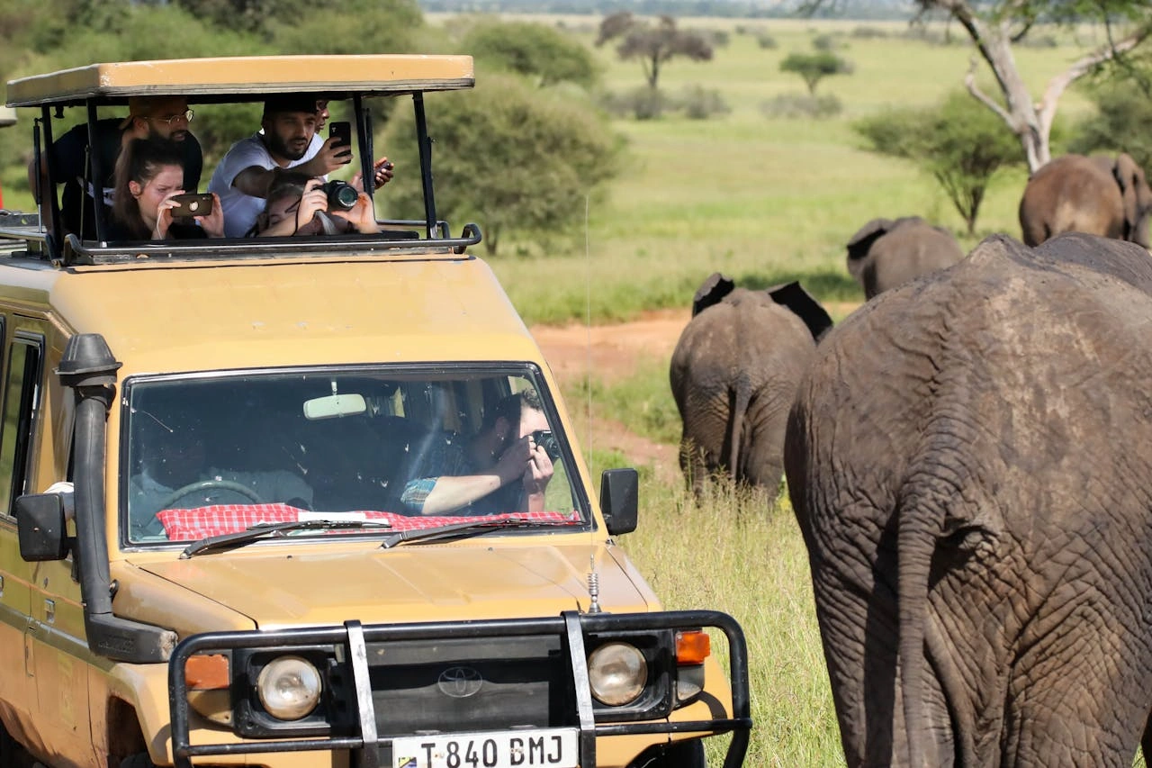 Plan the Perfect Family Safari Holidays Kenya with Diwaka Safaris