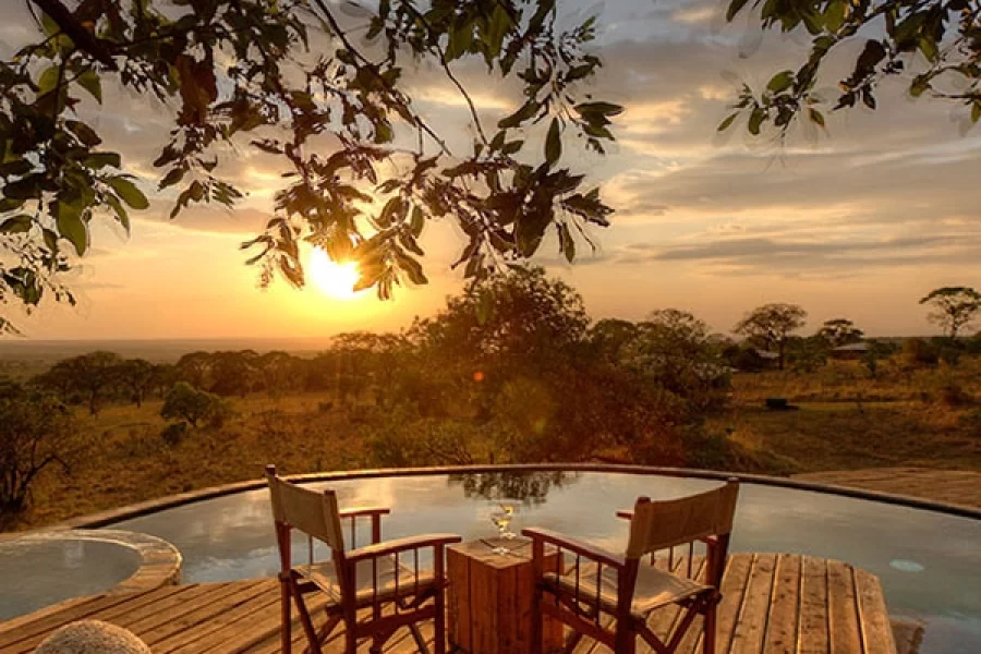 Serengeti Bushtops