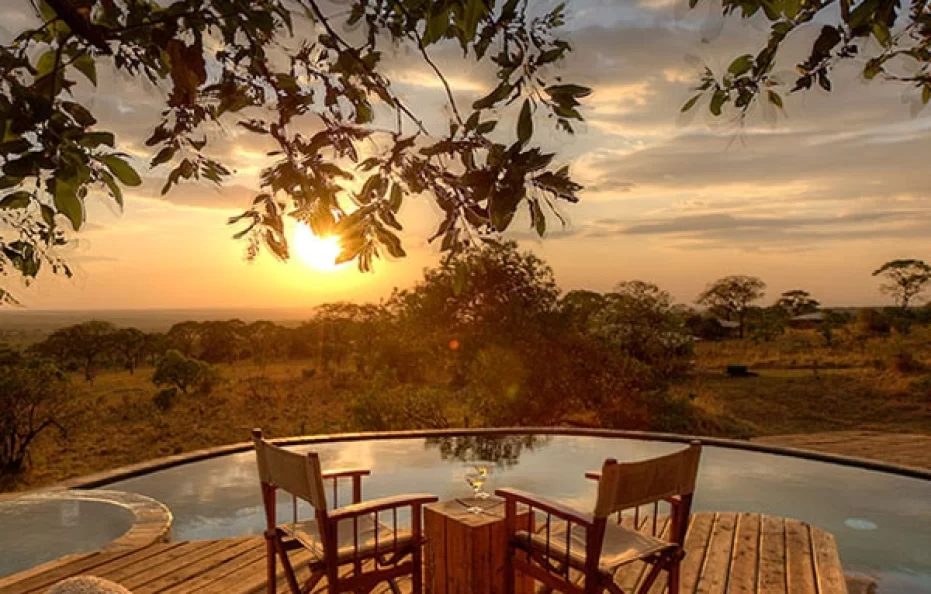 Serengeti Bushtops