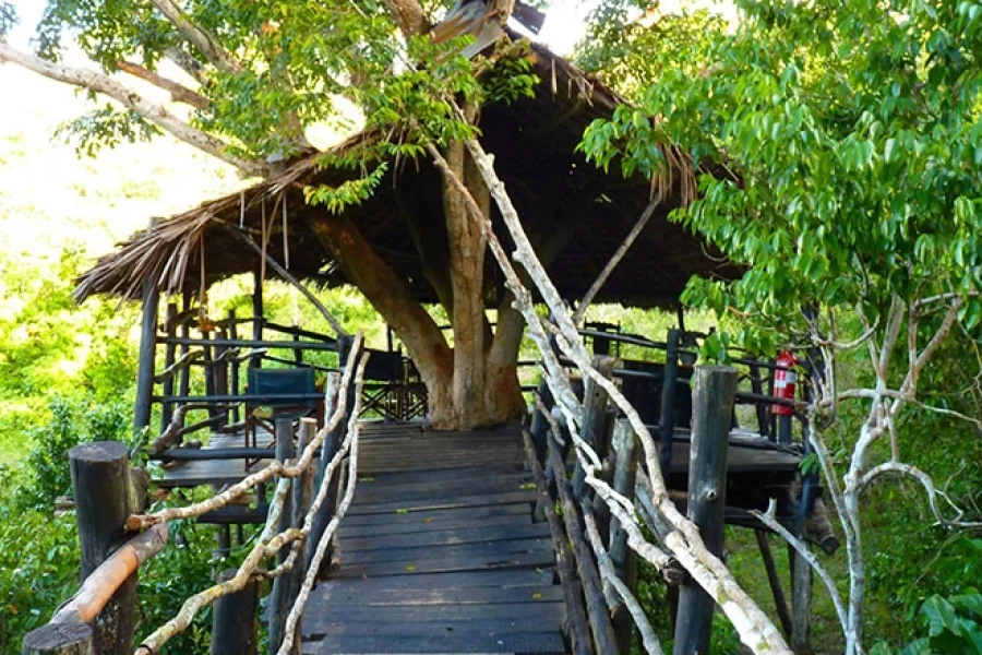 Shimba Hills Lodge