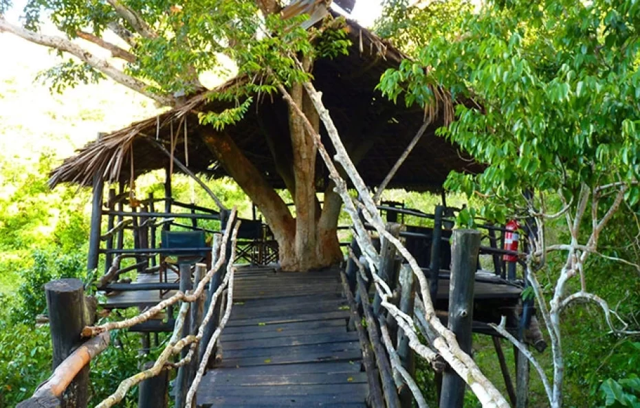 Shimba Hills Lodge