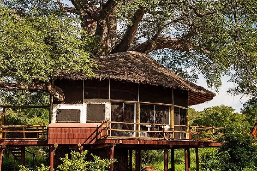 Tarangire treetops lodge