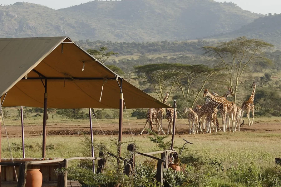Voi Safari Camp
