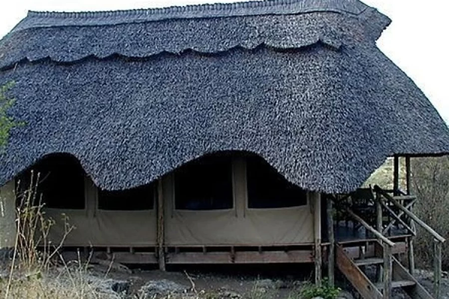 Wild Africa Lodge