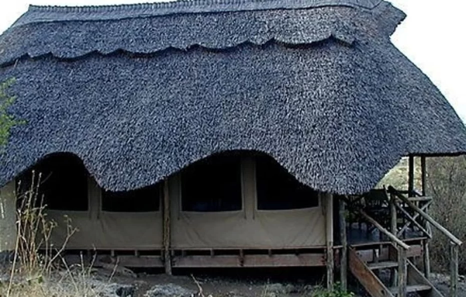Wild Africa Lodge