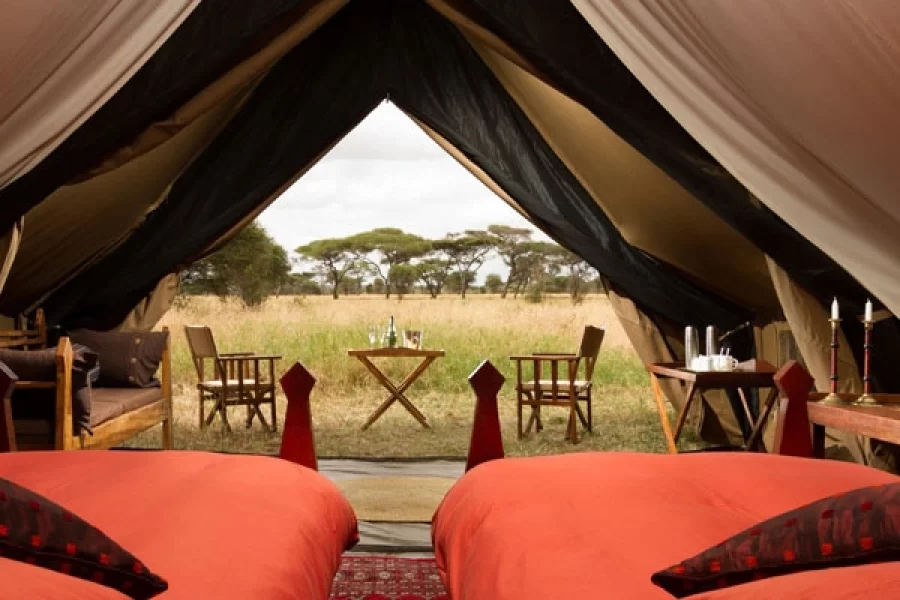 Wildlife Explorer Camp