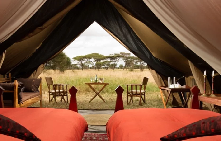 Wildlife Explorer Camp