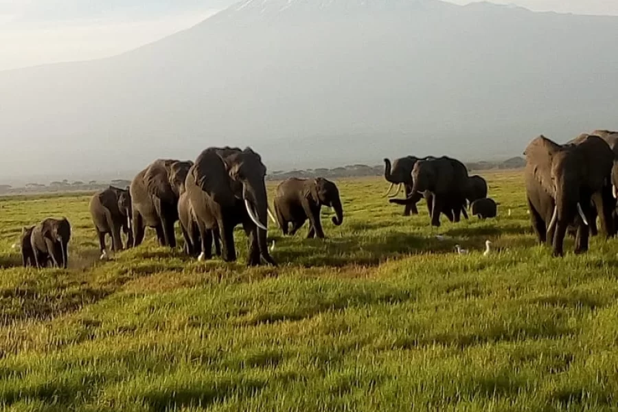 Lake Manyara National Park