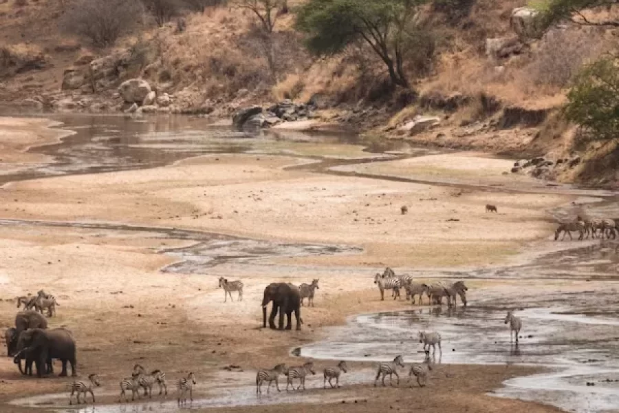 Tarangire National Park