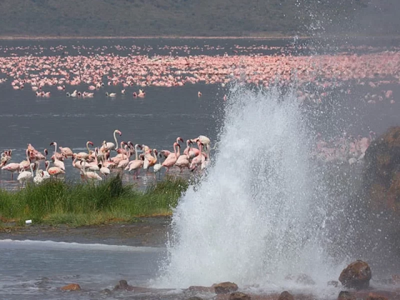 Kenya Holidays
