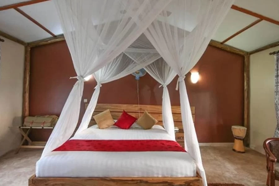 Pakuba Safari Lodge