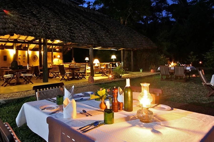 Wilderness Camp